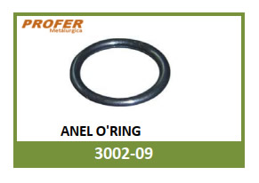 ANEL O'RING