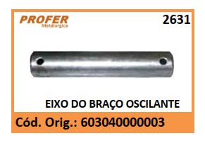 EIXO DO BRAÇO OSCILANTE