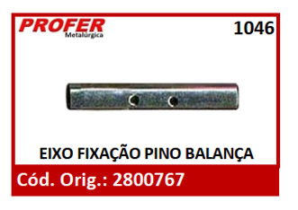 EIXO FIXAÇÃO PINO BALANÇA