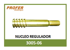 NUCLEO REGULADOR