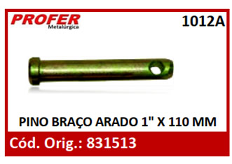 PINO BRAÇO ARADO 1 X 110 MM