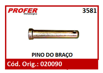 PINO DO BRAÇO