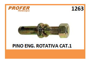 PINO ENG. ROTATIVA CAT.1